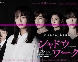 影子工作封面图